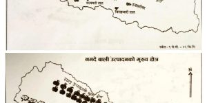 WhatsApp Image 2026-02-16 at 3.09.24 PM