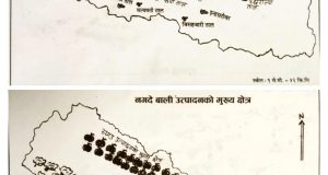 WhatsApp Image 2026-02-16 at 3.09.24 PM